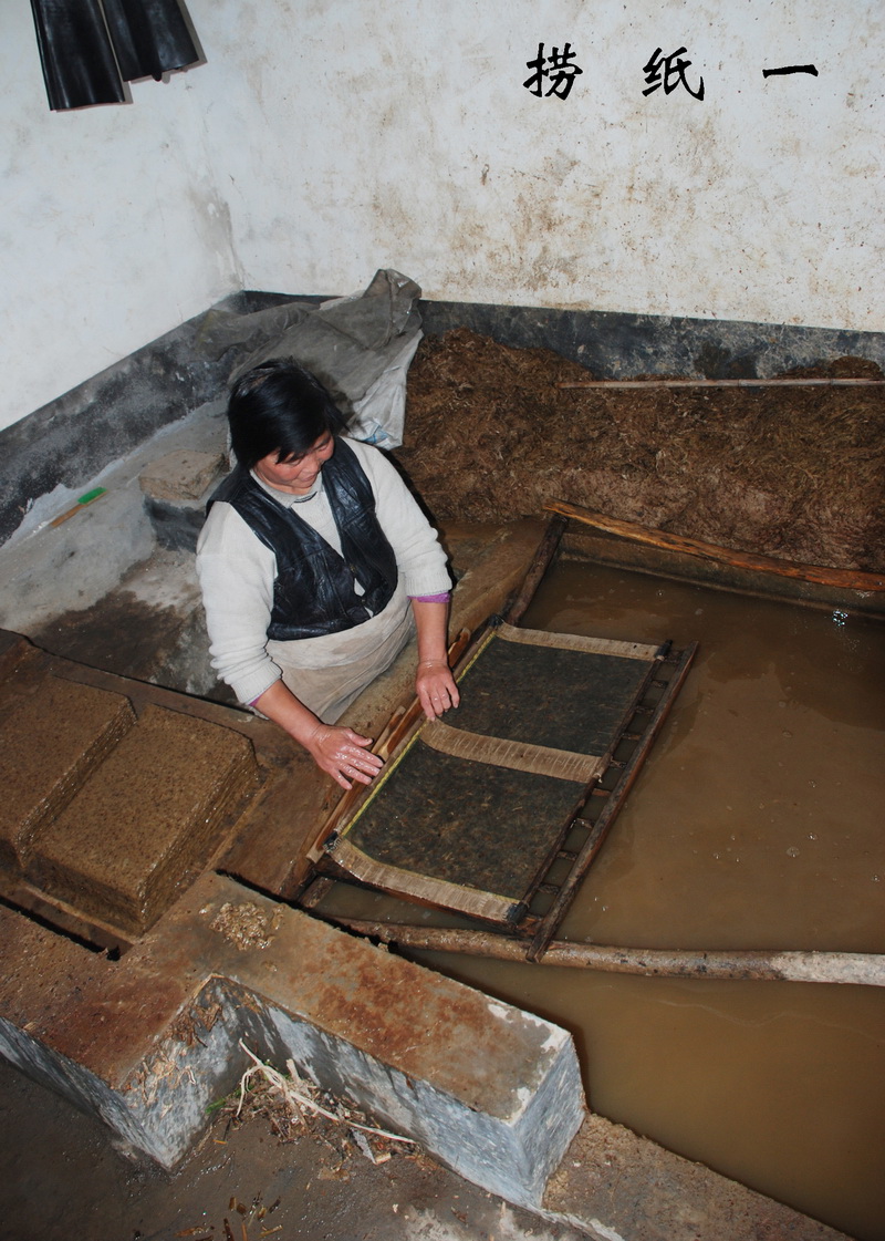 捞纸一.JPG